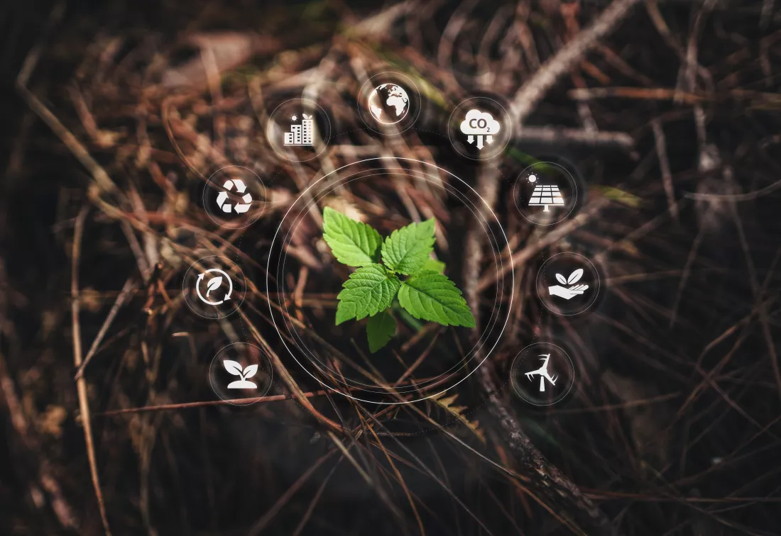 environmental-love-concept-small-tree-growing-forest-environmental-love-icons-around-small-tree