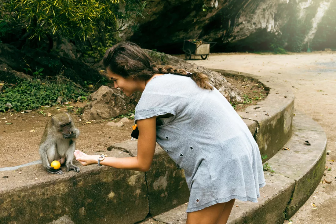 young-female-tourist-feeding-monkey-with-fruits-thailand